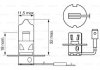 Автолампа (12V 55W H3 PURE LIGHT картон) BOSCH 1987302031 (фото 6)