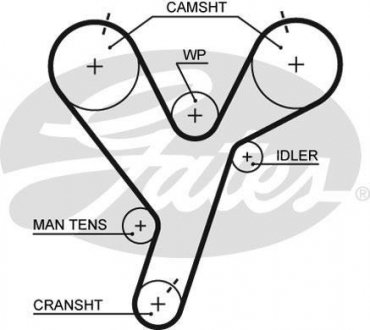 Пас ГРМ з довжиною кола понад 60 см, але не більш як 150см Gates 5446XS
