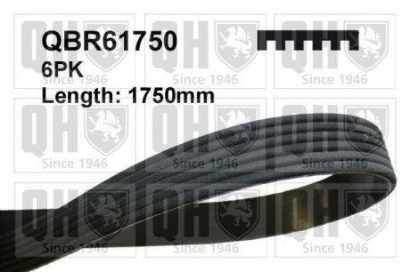 Ремінь поликлиновый JP GROUP QBR61750