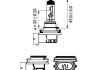 Ліхтар накалу H11 12V 55W PGJ19-2 LongerLife Ecovision 1шт blister PHILIPS 12362LLECOB1 (фото 3)